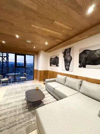 Apartment Loft In City, Mexico City
