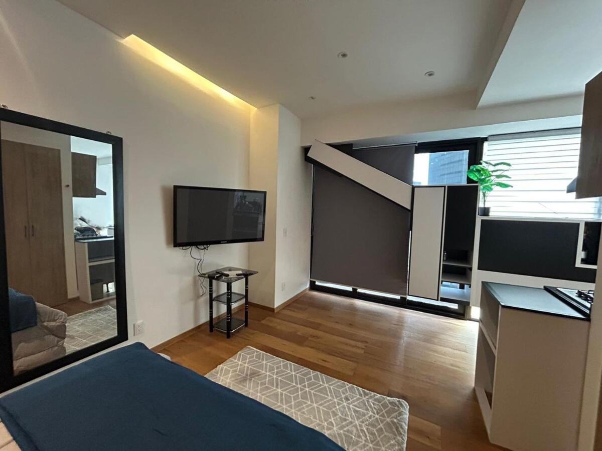 Apartment Loft In City, Mexico City